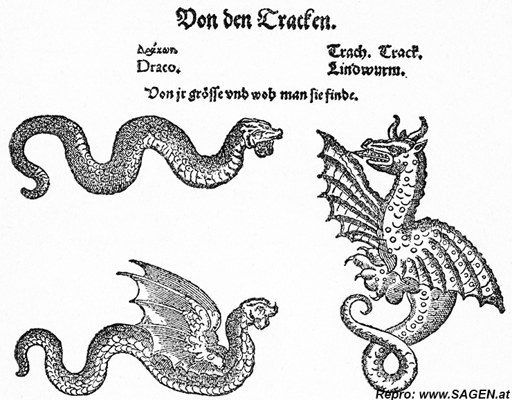 geflügelte Drachen Lindwürmern, aus dem Schlangenbuch von Conrad Gesner Zürich, 1589
