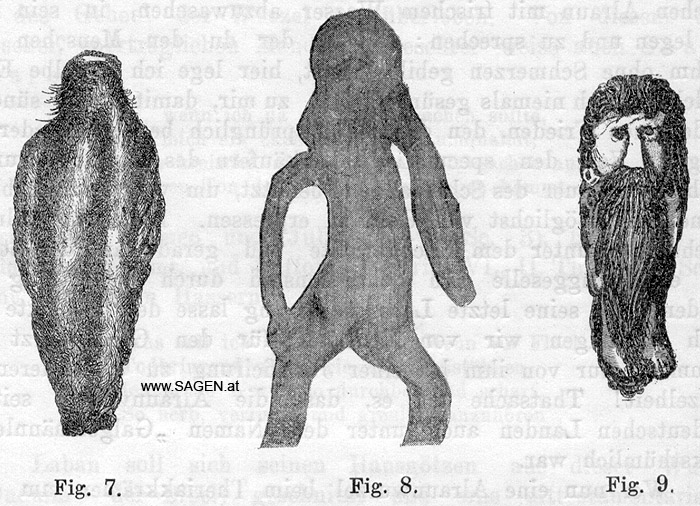 Alraune, Mandragora officinalis