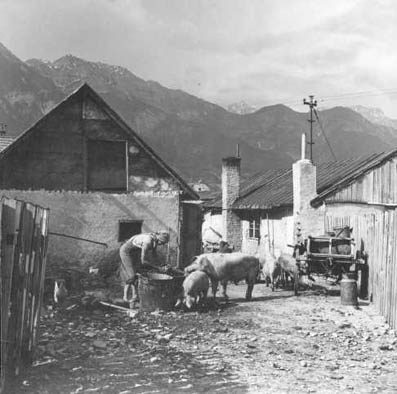 Bocksiedlung, Reichenau, Innsbruck