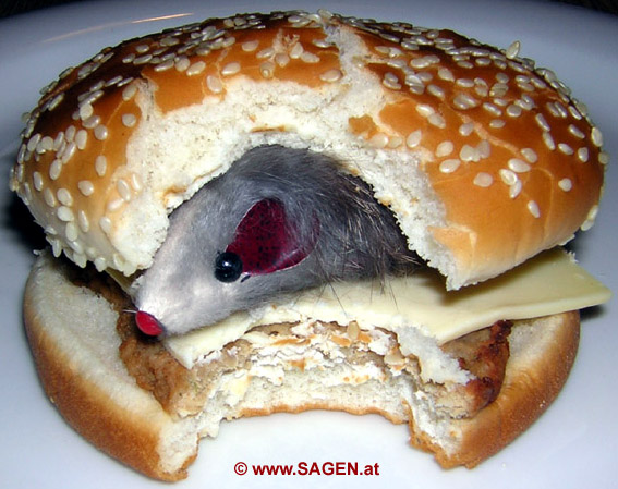Maus im Hamburger © BeritMrugalska
