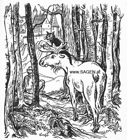 Elch &copy; Fritz Loehr