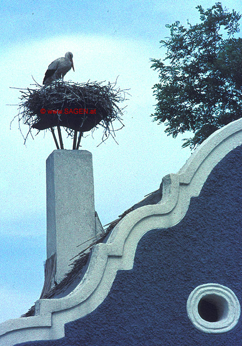 Storch im Nest
