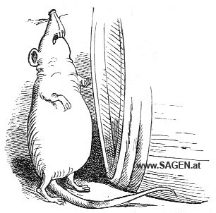 Wilhelm Busch, Die kluge Ratte