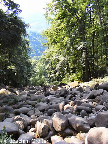 Das Felsenmeer im Odenwald bei Reichenbach © Joachim Größer