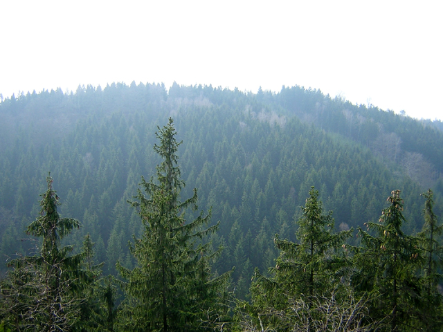 Der Lips Tullian Felsen © Octapolis