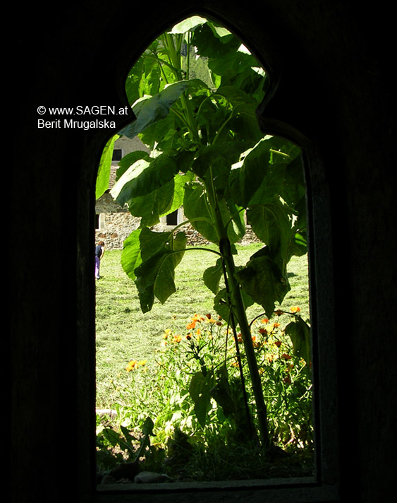 Karthaus Kreuzgang © Berit Mrugalska
