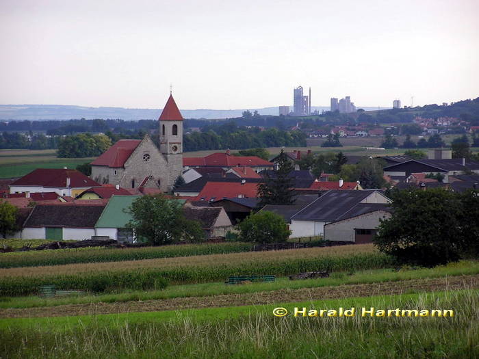 Au am Leithagebirge, Burgenland © Harald Hartmann