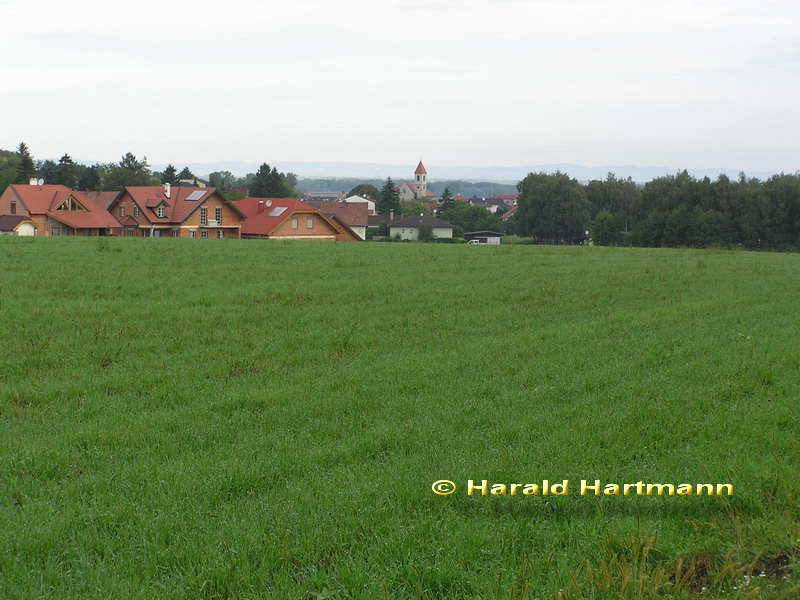 Au am Leithagebirge, Burgenland © Harald Hartmann
