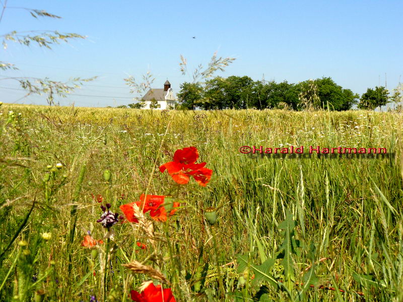 Rochuskapelle Parndorf © Harald Hartmann