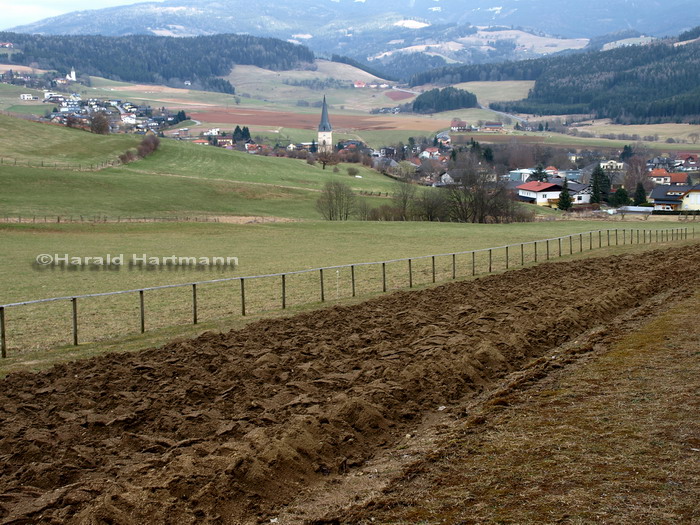 Guttaring - Linsenfeld