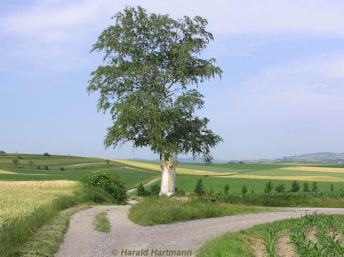 Das Scheibenkreuz in Neulengbach © Harald Hartmann
