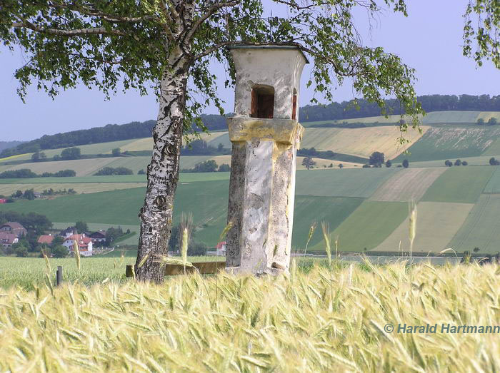 Das Scheibenkreuz in Neulengbach © Harald Hartmann