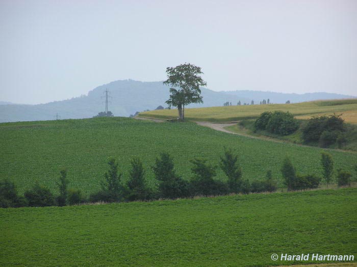 Das Scheibenkreuz in Neulengbach © Harald Hartmann