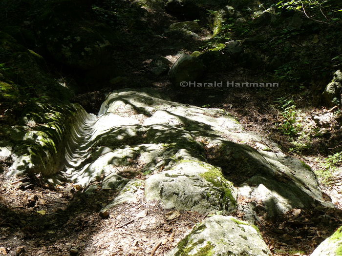 Karrenweg bei den Myrafällen © Harald Hartmann