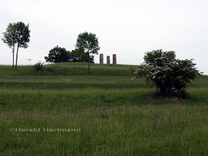 Der Galgenberg von Irnfritz © Harald Hartmann