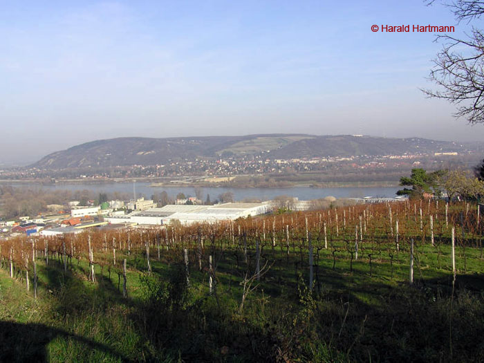Blick auf den Bisamberg © Harald Hartmann