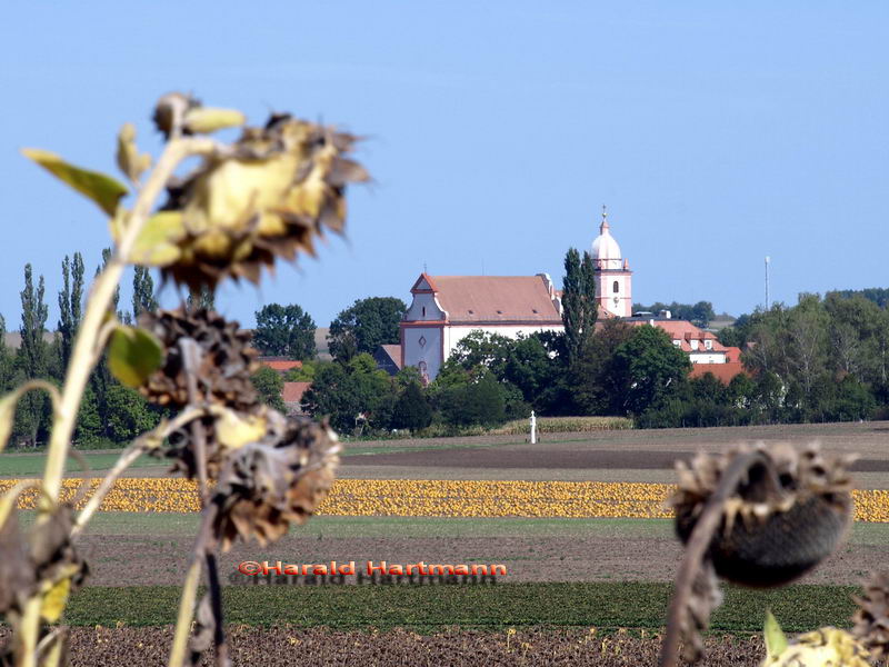 Roggendorf, Maria Roggendorf, Gemeinde Wullersdorf, Bezirk Hollabrunn, Niederösterreich © Harald Hartmann