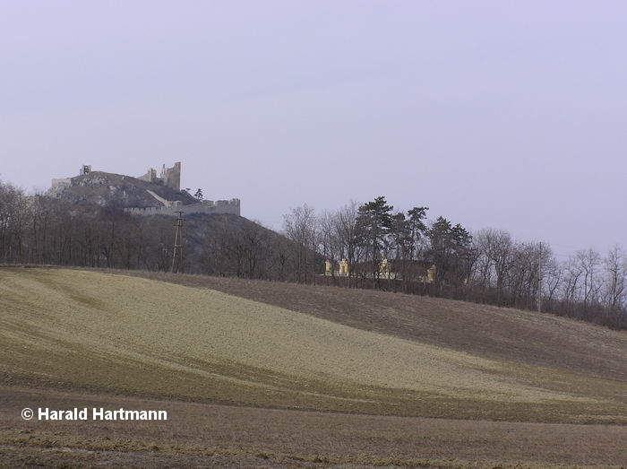 Staazer Berg © Harald Hartmann