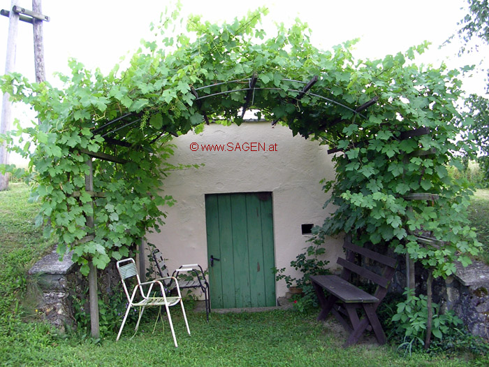 Weinlaube im Weinviertel