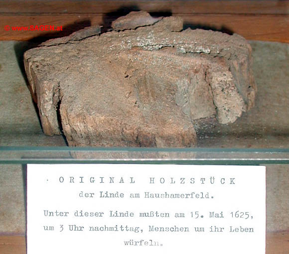 Linde am Frankenburger Haushamerfeld, &copy; Wolfgang Morscher
