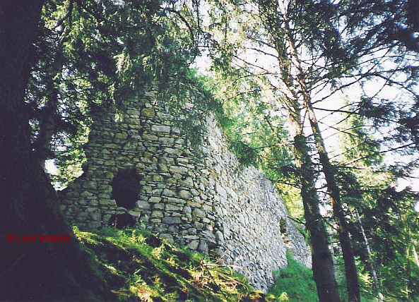 Ruine Friedburg © leni Wallner