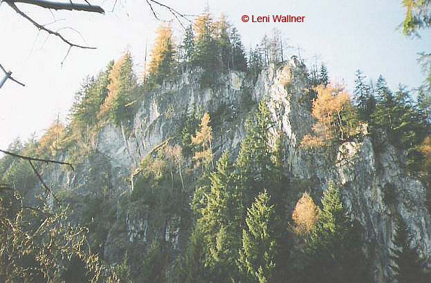 Die "Stoanerwånd © Leni Wallner