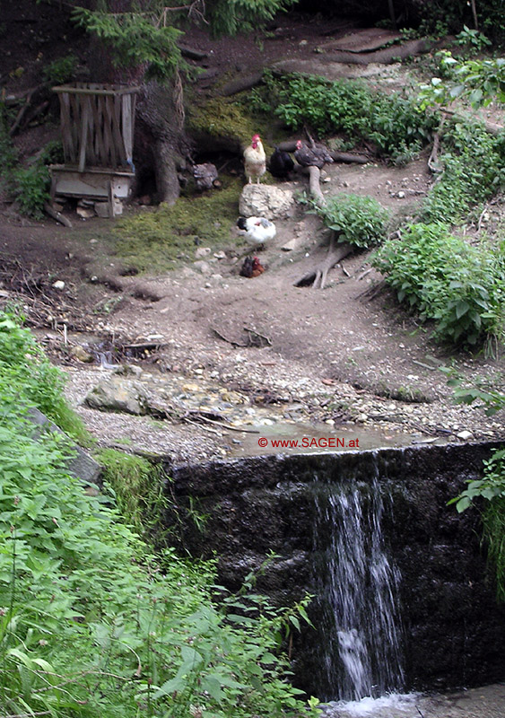 Der Bach im Ortsteil "Dorf" in Alpbach