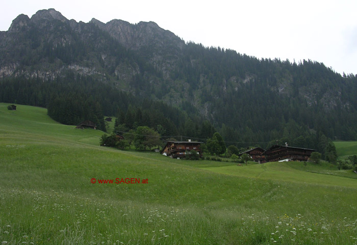 Thierberg mit Bauerhöfen