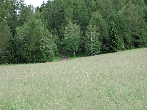 Am Kreither Berg, Wipptal, &amp;copy; Wolfgang Morscher