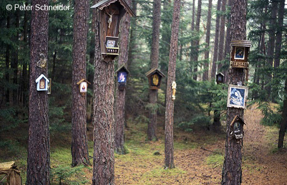 Maria im Wald, Aldrans © Peter Schneider