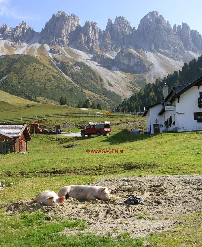 Die Kematner Alm