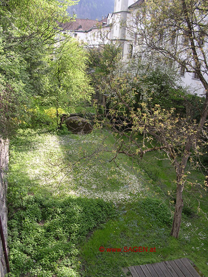 Blick in den Stiftsgarten