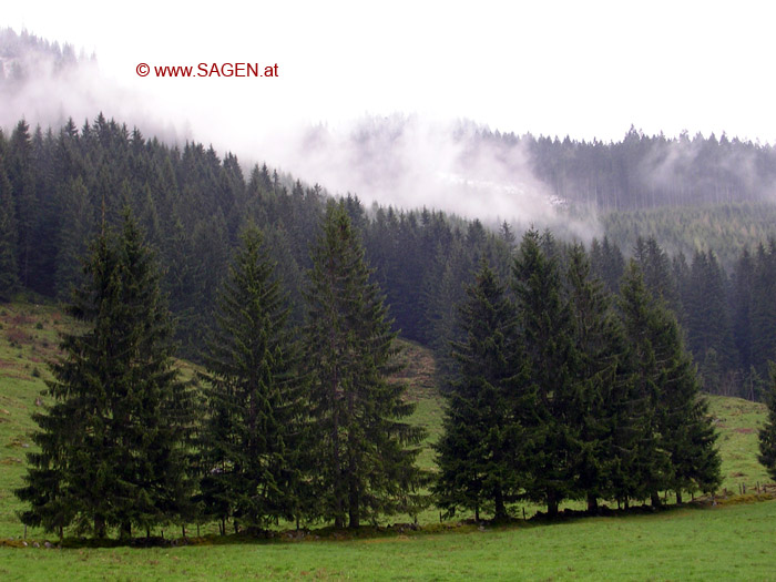 Nebel © Berit Mrugalska
