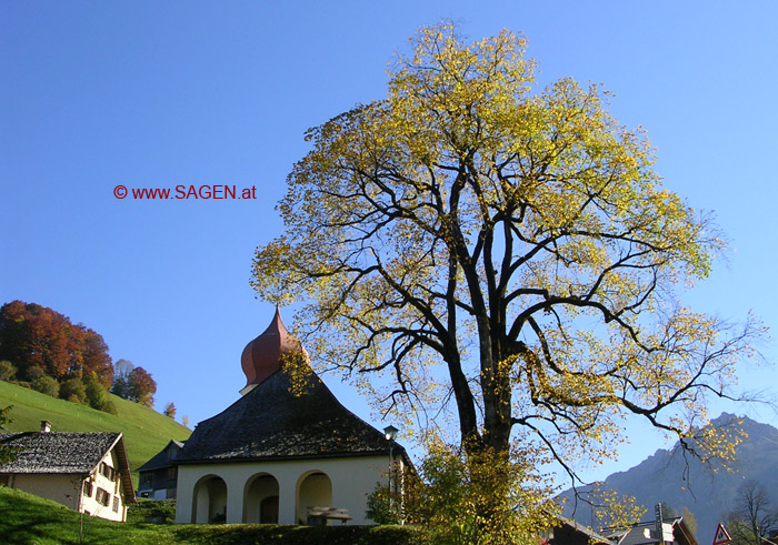 Kuratienkirche heilige Katharina © Berit Mrugalska