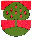 Gemeindewappen  Dornbirn, Vorarlberg
