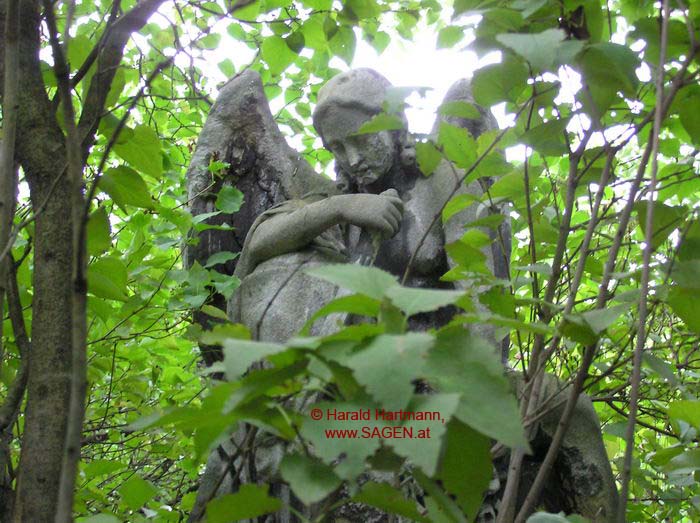 Friedhof St. Marx, Wien © Harald Hartmann