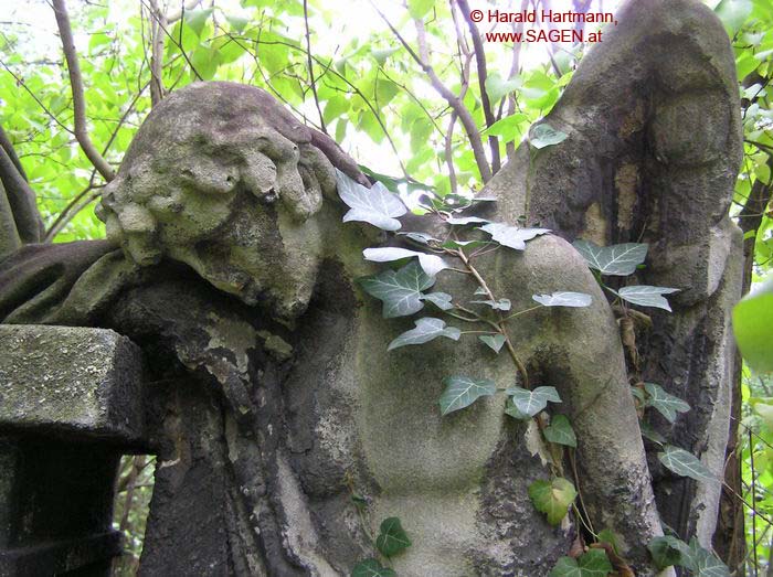 Friedhof St. Marx, Wien © Harald Hartmann