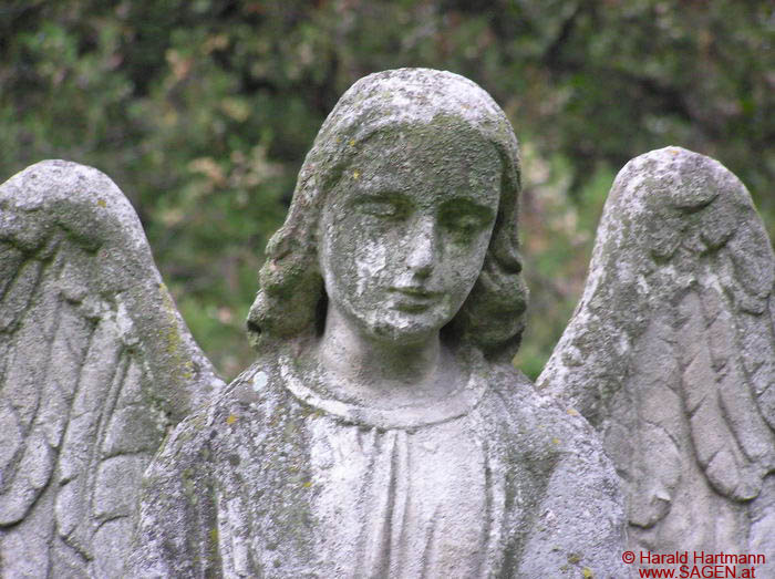 Engel am Friedhof von St. Marx © Harald Hartmann