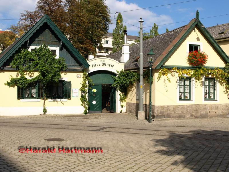 Zehnermarie im 16. Wiener Gemeindebezirk © Harald Hartmann