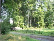 Pfaffa-Kellerloch, Weiler, Vorarlberg