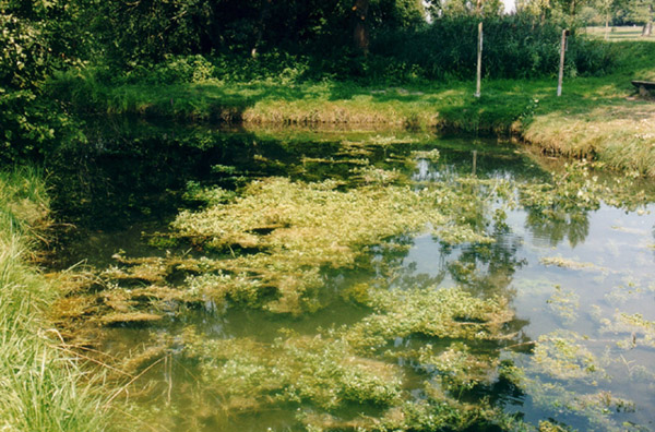 Das Goldene Tor,  © Ines Pfäffli