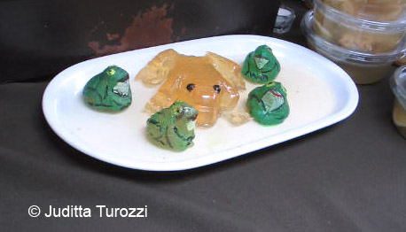 Miskolzer Sülze © Juditta Turozzi